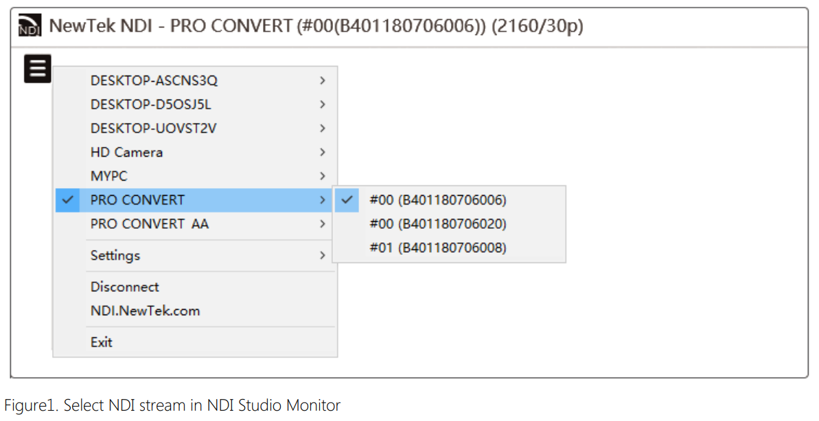 Pro_convert_webUI4.png